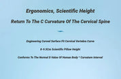 Neck Shoulder Relaxer Cervical Spine